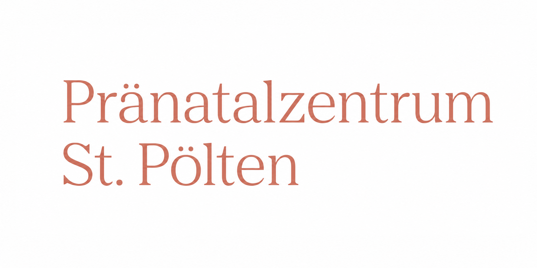 Partner Logo 17